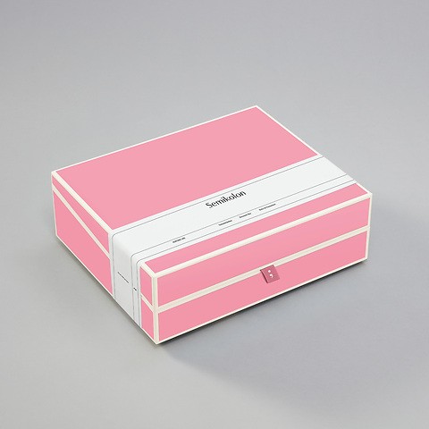 Dokumentenbox A4 Flamingo
