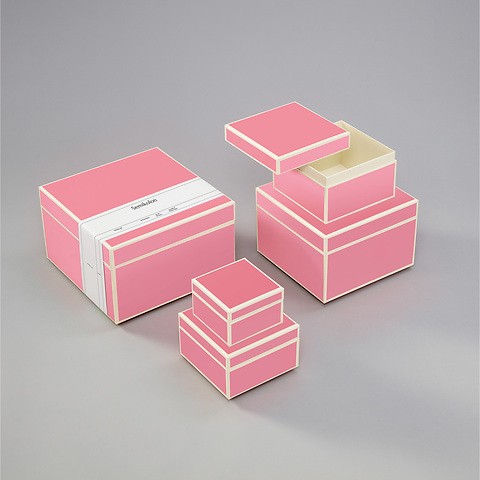 5er-Set Aufbewahrungsboxen Flamingo