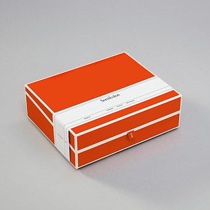 Dokumentenbox A4, orange